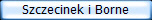Szczecinek i Borne
